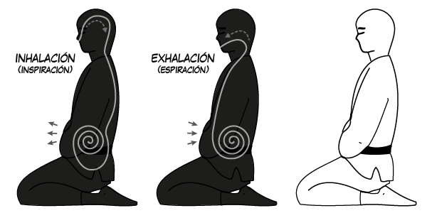 Meditación Zazen 4 diagrama respiracion1
