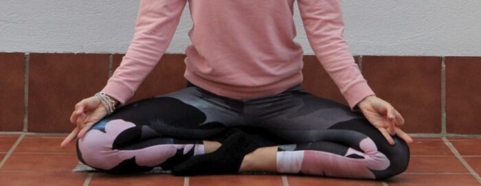 Rudra mudra 1 1024x397 1