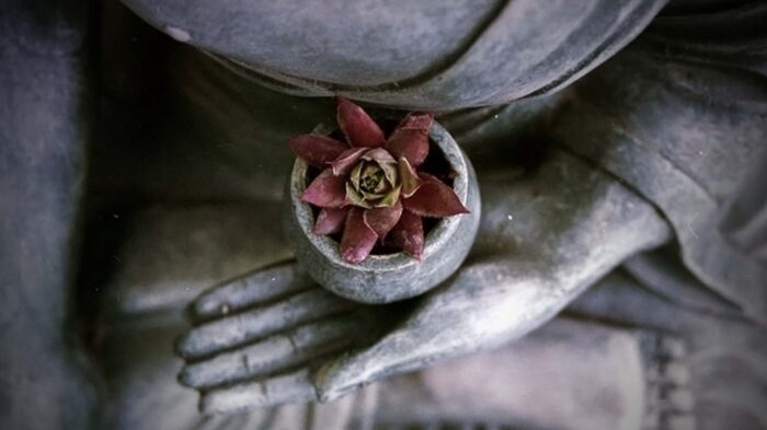 Bienvenidos a la Meditación 9 Meditación Toglen