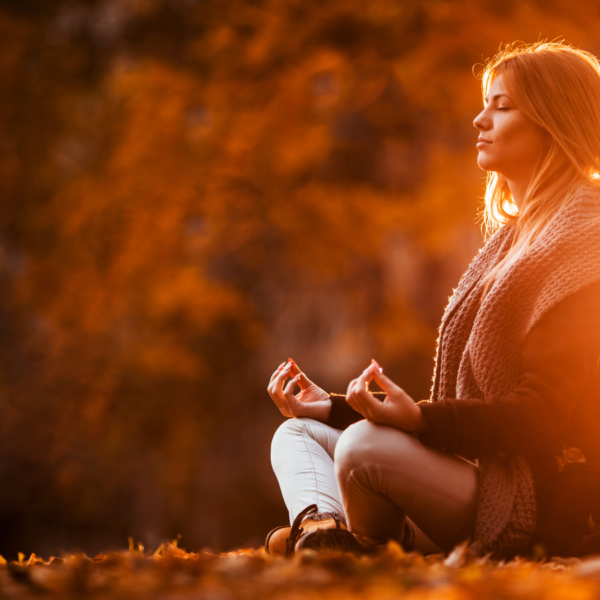 Historia y Filosofía de Vipassana