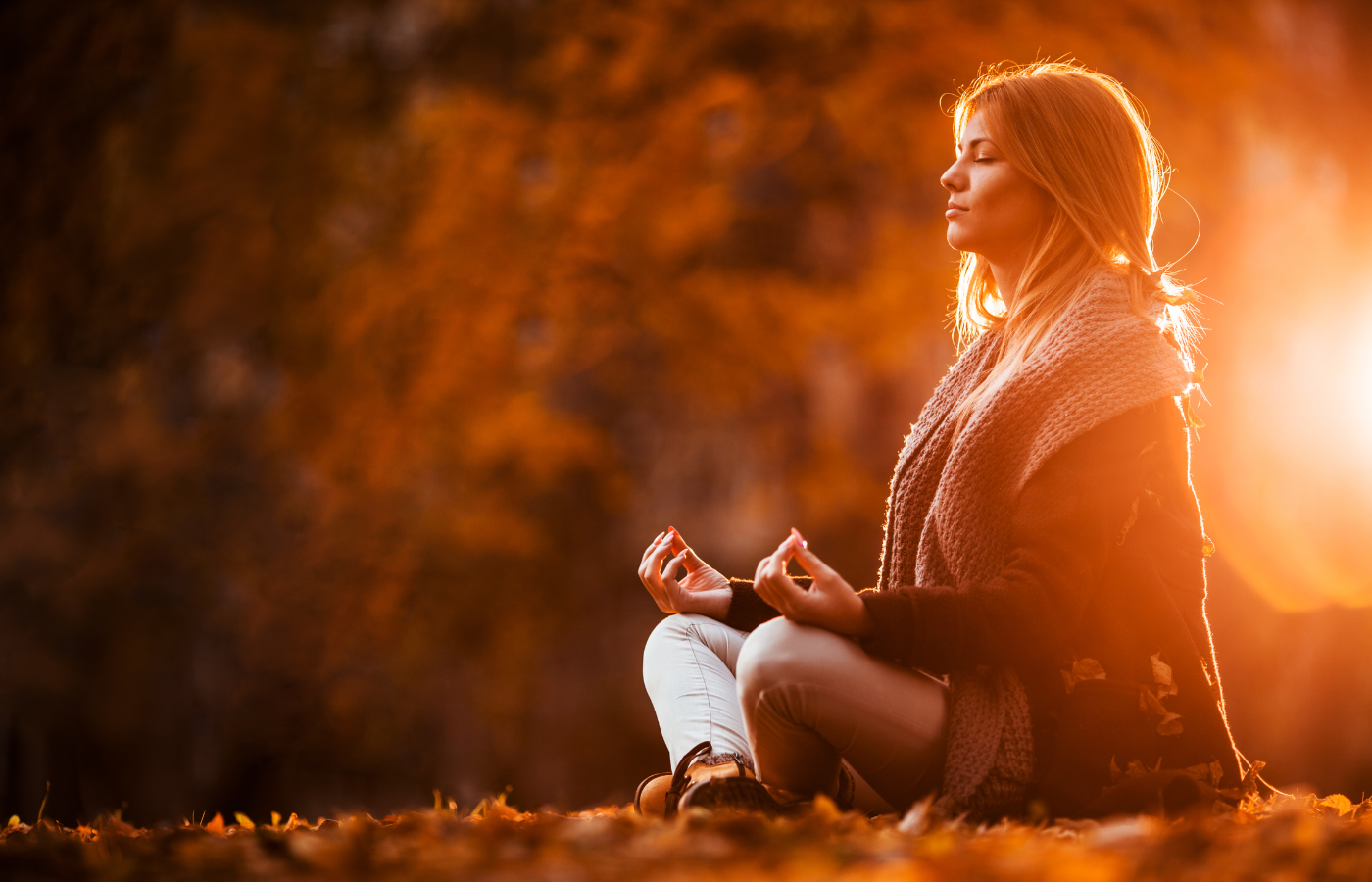 Historia y Filosofía de Vipassana